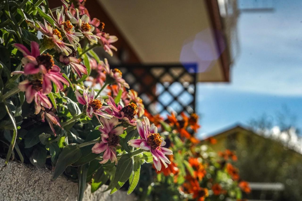 Agriturismo La Rocca San Bartolomeo Al Mare Exterior photo